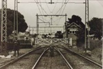 Railway crossing at Abbott Street, Sandringham; 1918 Feb.; P0914