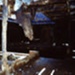 The Cerberus, Half Moon Bay : upper interior deck.; Charlesworth, Peter; 1989; P4041-1