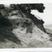 Aboriginal midden, Black Rock foreshore; Cardells, Wallace; 1966 Oct. 29; P9709