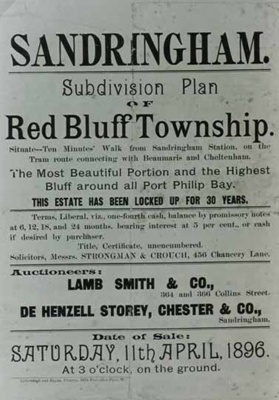 Sale leaflet for Red Bluff Township; 1896; P0876|P0877|P0878