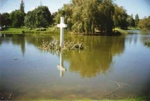 Vietnam War memorial cross, Basterfield Park, Dane Road, Moorabbin; Utting, Peg; 2002; P4478-1