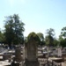 Cheltenham Pioneer Cemetery. Attenborough family grave; Nilsson, Ray; 2008 Feb. 11; P8294