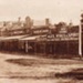 Shops in Station Street, Sandringham.; 1905; P0352