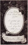 Gipsy Village State School certificate, 1st June , 1883; 1883; P1720