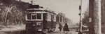 Electric tram no.51 in Royal Avenue, Sandringham; betw. 1950 and 1955; P1953