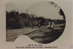 Bad for the tyres. Tram rails buckled with the heat - Beaumaris Road.; c. 1910; P0856