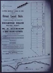 Advertisement for great land sale at Brighton Beach; 1882; P1122