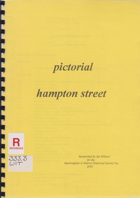 Pictorial Hampton Street; Withers, Jan; 2000; B0608