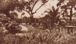 Gardens of the Hampton Hotel; c 1914; P0313