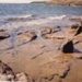 Wheel tracks in foreshore rocks at Quiet Corner; 1988; P2820