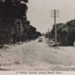 A pretty stretch along Beach Road.; betw. 1925 and 1930; P0786