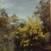 Wattle by the river; Latimer, Frank (1886-1974); 1991 Sept.; P2923