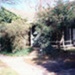 379 Balcombe Road, Beaumaris; Larson, Janet; 1994 Aug. 11; P11485