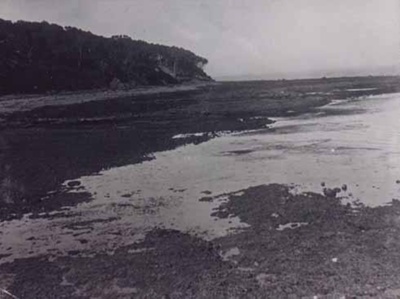 Table Rock, Beaumaris Beach; c. 1920; P0493