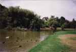 Ornamental lake, Basterfield Park, Dane Road, Moorabbin; McDuff, Laura; 1999; P4372-2