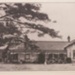 Iona, College Grove, Black Rock; 193-; P2330