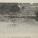 Bunurong middens, Half Moon Bay; Scott, George; 1988 Mar.; P2383