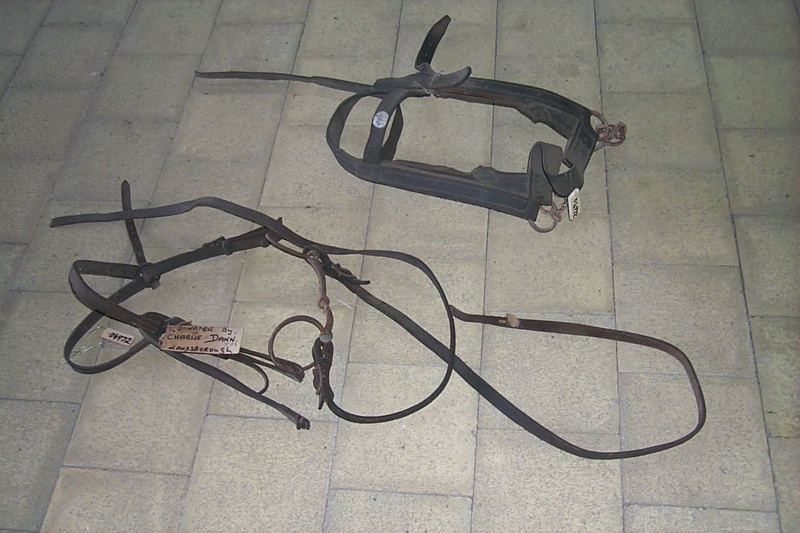 Two bridles for spring cart horse; 04972 eHive