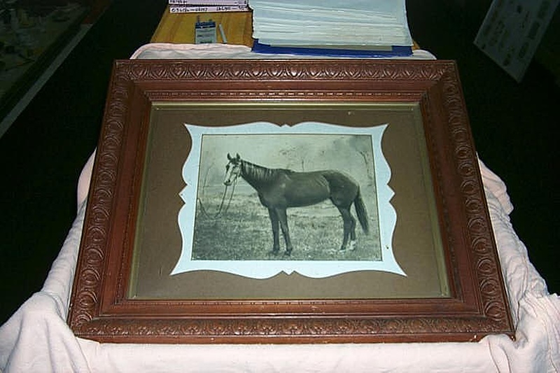 Racehorse Eau de Cologne; 06293 eHive